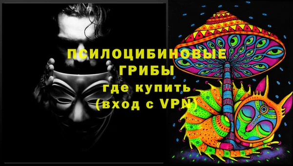 соль ск Сатка