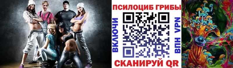 Галлюциногенные грибы Psilocybe  Кольчугино 